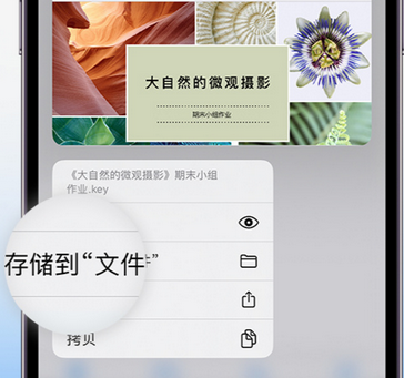 西峰apple维修中心分享iPhone文件应用中存储和找到下载文件