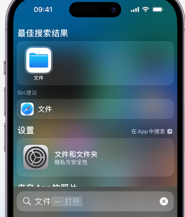 西峰apple维修中心分享iPhone文件应用中存储和找到下载文件