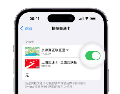 西峰apple维修点分享iPhone上更换Apple Pay快捷交通卡手绘卡面 