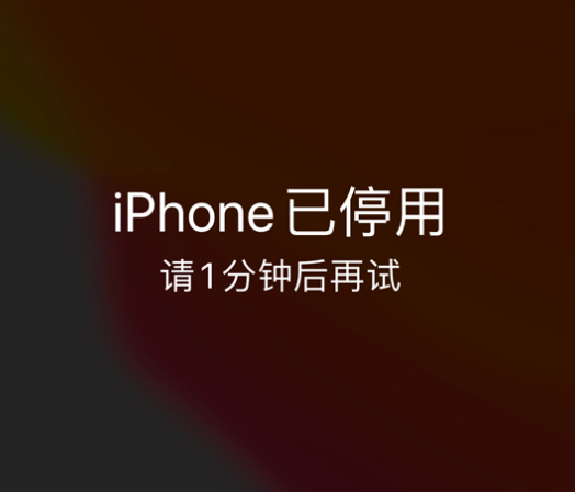 西峰苹果手机维修分享:iPhone 显示“不可用”或“已停用”怎么办？还能保留数据吗？ 