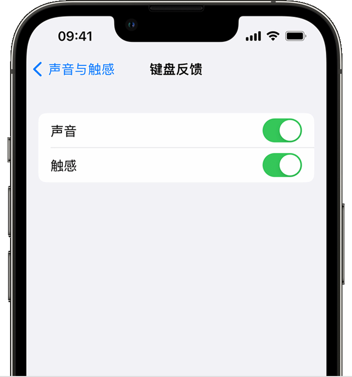 西峰苹果14维修店分享如何在 iPhone 14 机型中使用触感键盘 