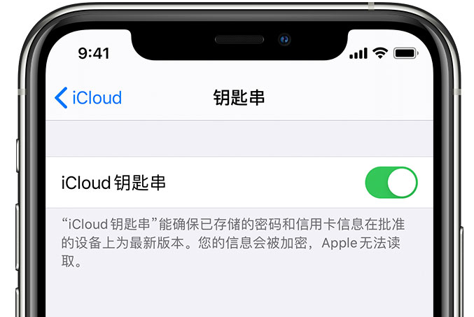 西峰苹果手机维修分享在 iPhone 上开启 iCloud 钥匙串之后会储存哪些信息 